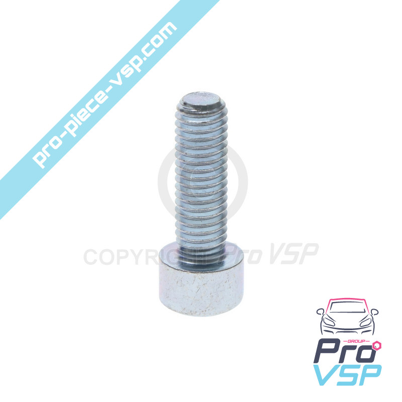 BTR M8x25 screw