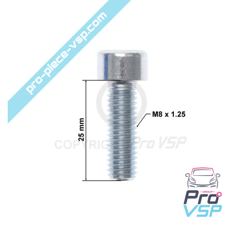 BTR M8x25 screw