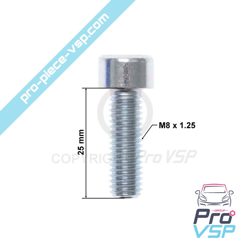 BTR M8x25 screw