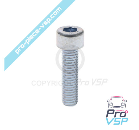Thermostat case screw