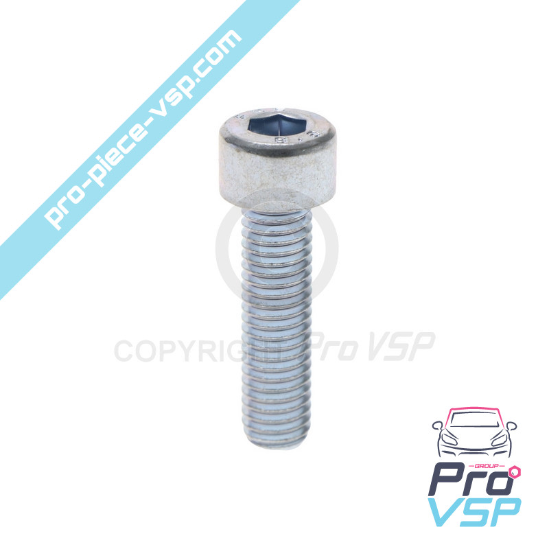 Thermostat case screw
