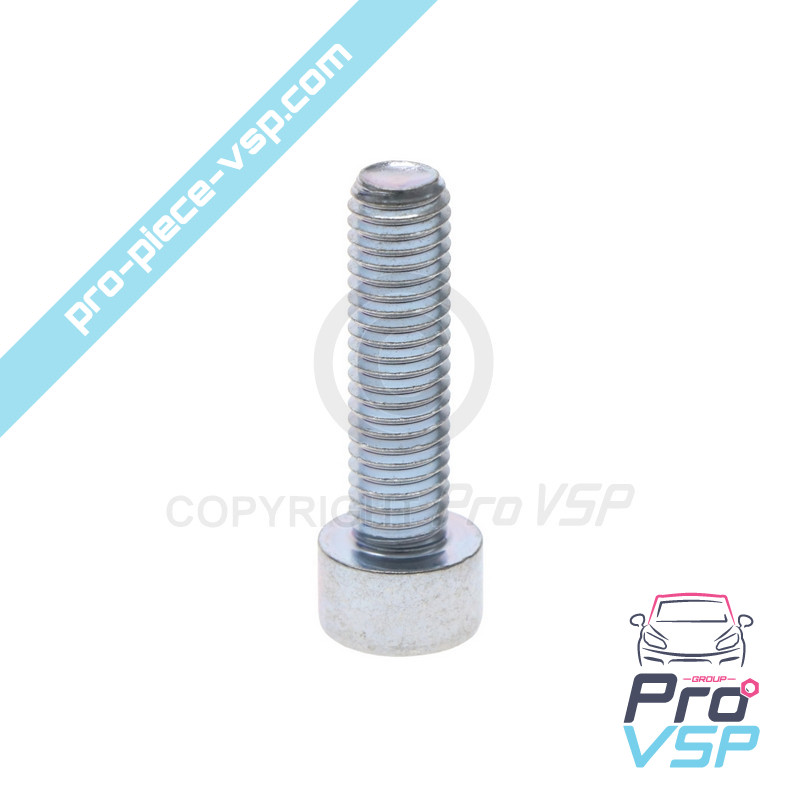 Thermostat case screw