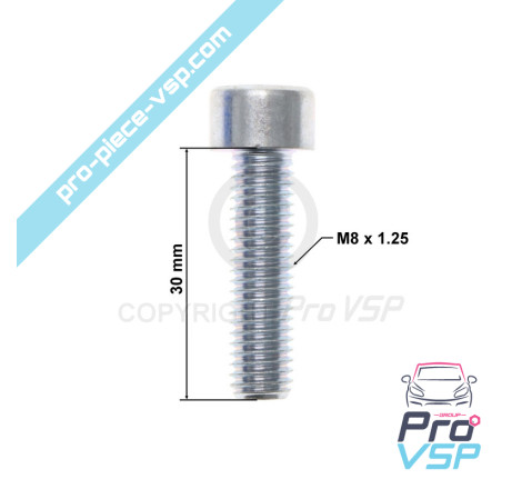 Thermostat case screw