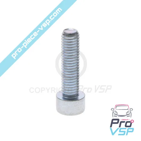 Tornillo del obturador del motor