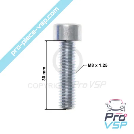 Tornillo del obturador del motor