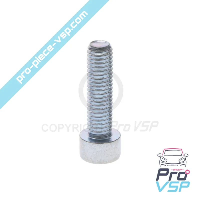 Tornillo BTR M8X30 Tornillo BTR M8X30