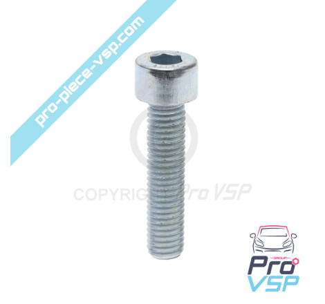 Injector mounting screw