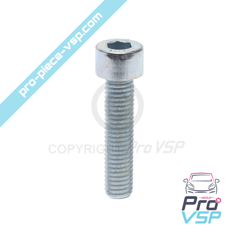 Injector mounting screw