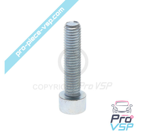 Injector mounting screw