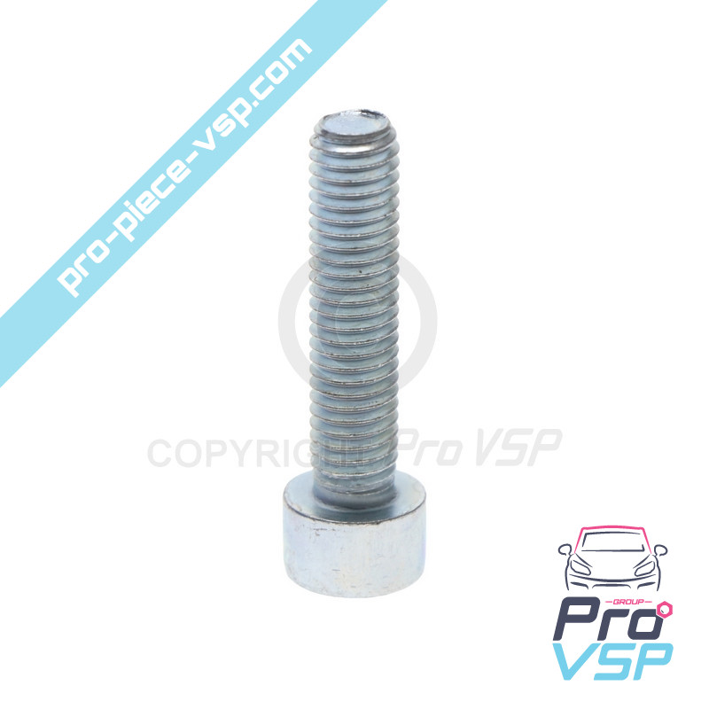 Injector mounting screw