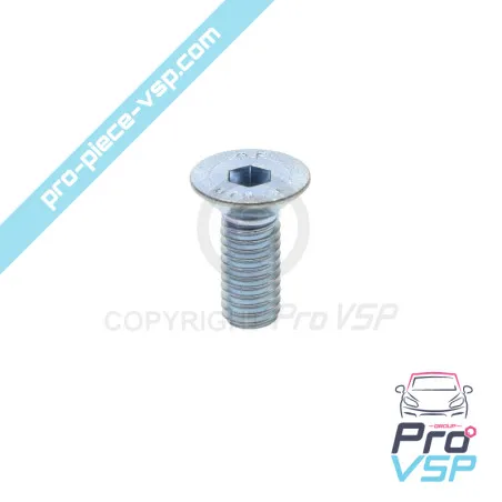 Oil pump plate screw