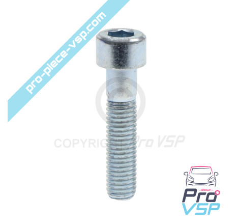 BTR M10x45 screw