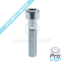 BTR M10x45 screw