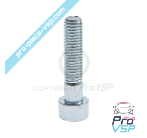 BTR M10x45 screw