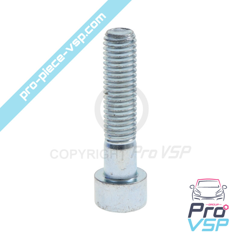 BTR M10x45 screw