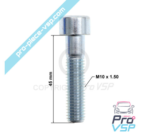 BTR M10x45 screw