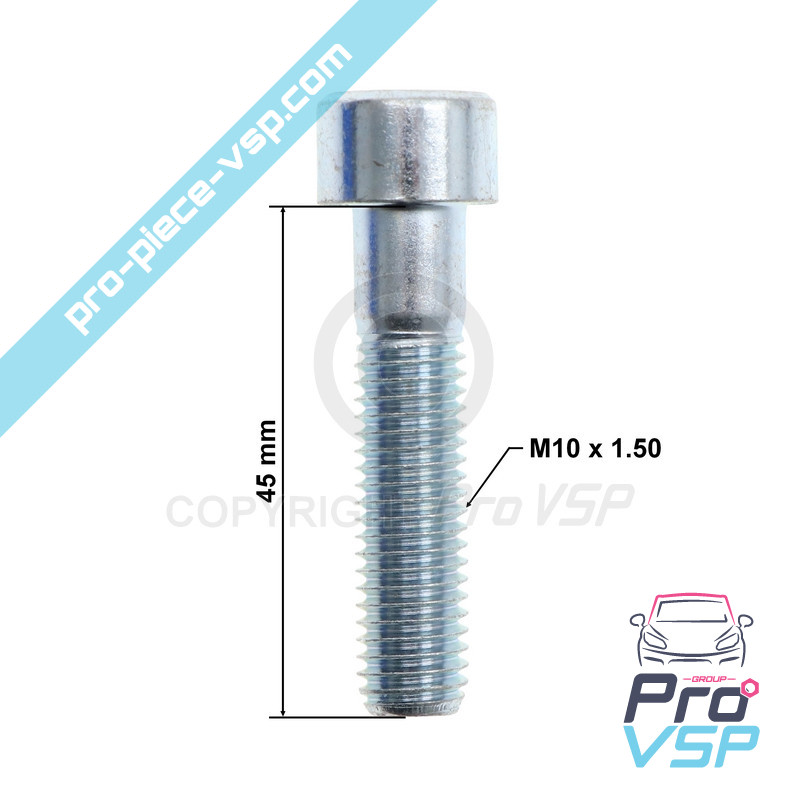 BTR M10x45 screw