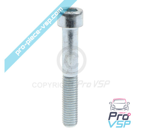 Rear brake caliper screws