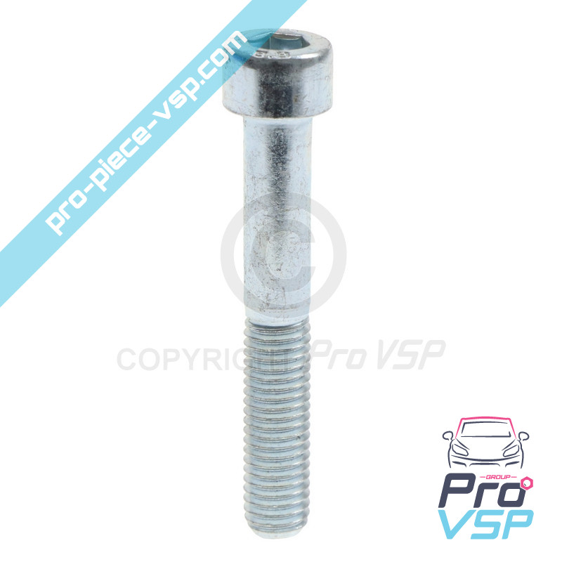 Rear brake caliper screws