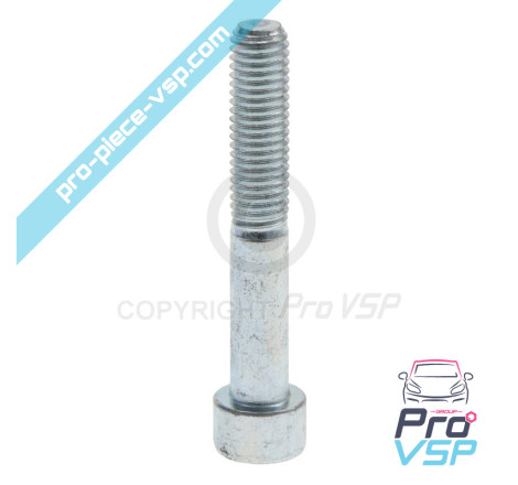 Rear brake caliper screws
