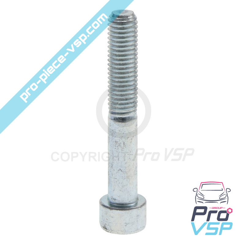 Rear brake caliper screws