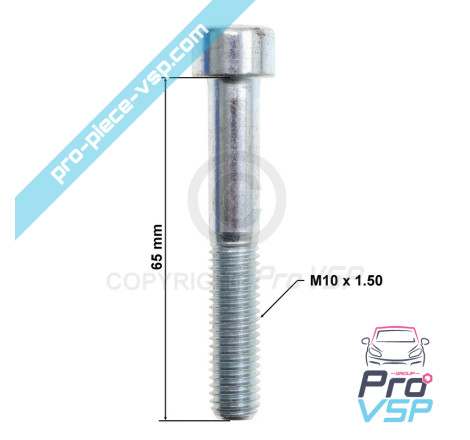 Rear brake caliper screws