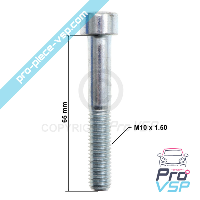 Rear brake caliper screws