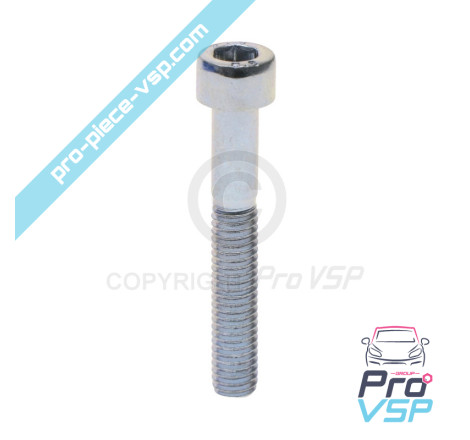 Crankshaft pulley fixing screw