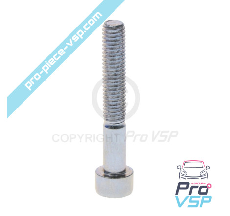 Crankshaft pulley fixing screw