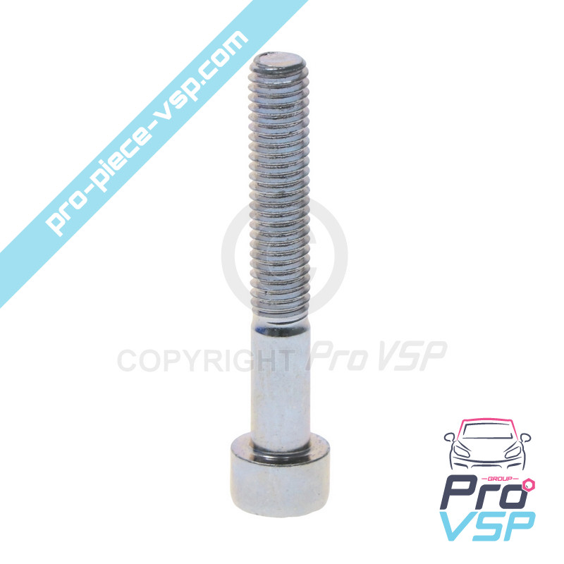 Crankshaft pulley fixing screw