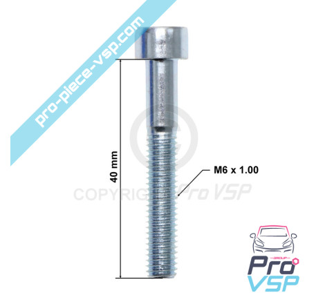 Crankshaft pulley fixing screw