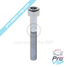 BTR M6x40 screw