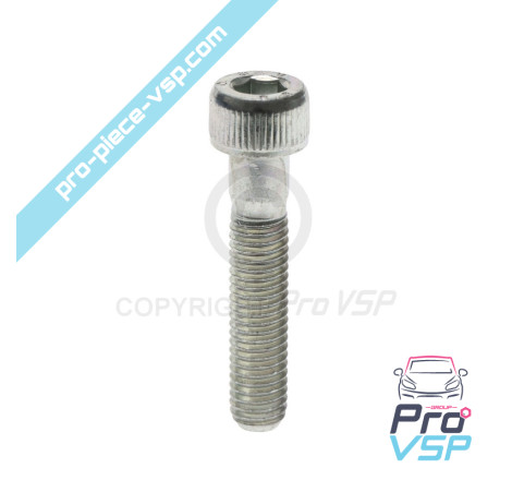 Ventilation pulley support screw