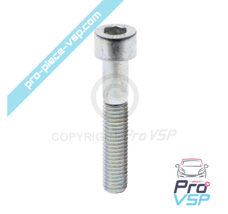 Tensioner roller fixing screw