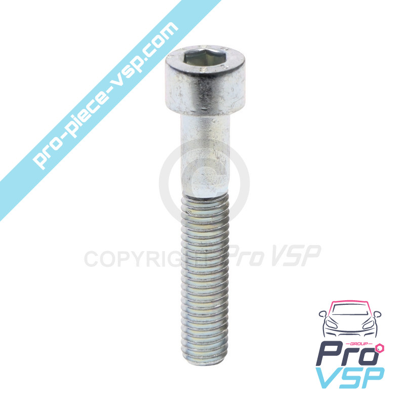 Tensioner roller fixing screw