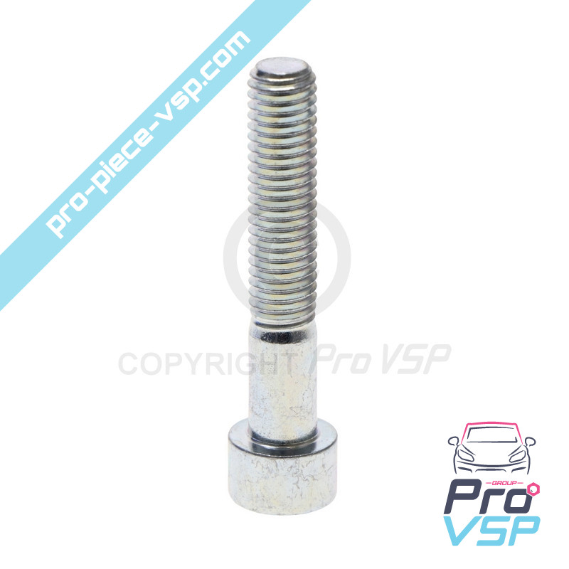 Tensioner roller fixing screw