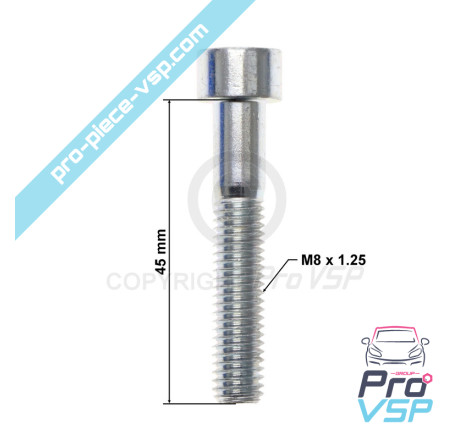 Tensioner roller fixing screw