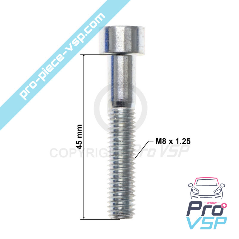 Tensioner roller fixing screw