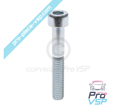 BTR M8x50 screw