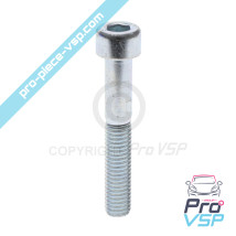 BTR M8x50 screw