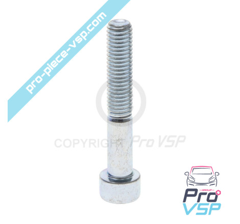 BTR M8x50 screw