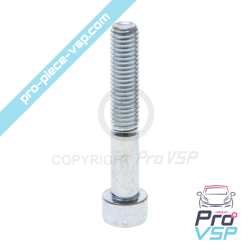 BTR M8x50 screw