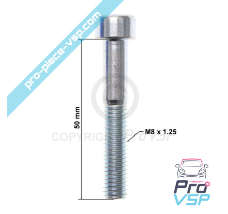 BTR M8x50 screw