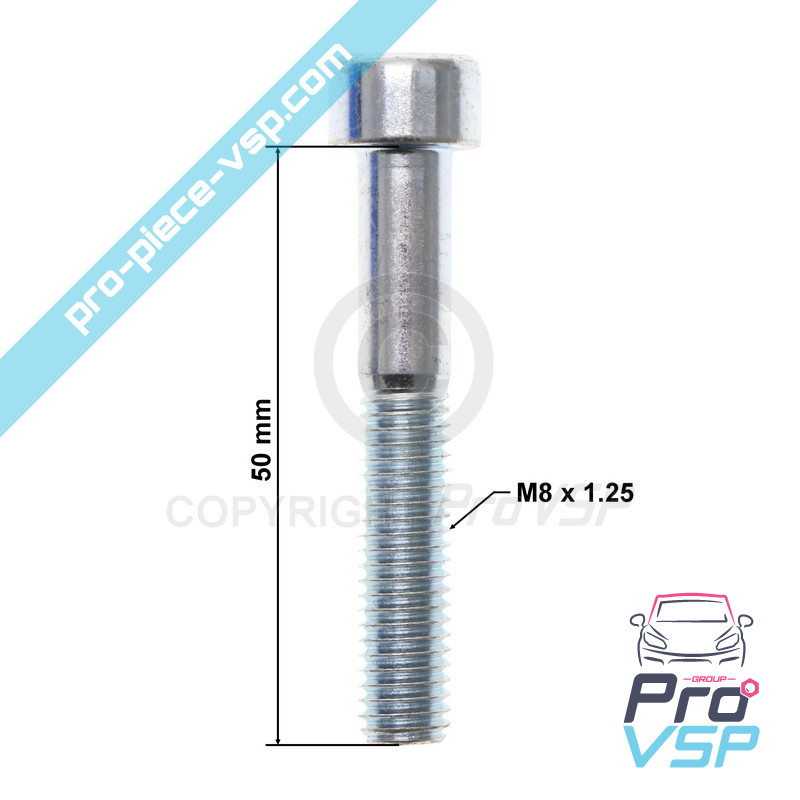 BTR M8x50 screw