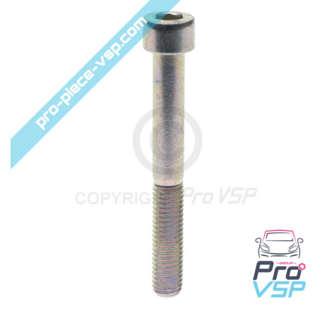 Tornillo del colector de admisión