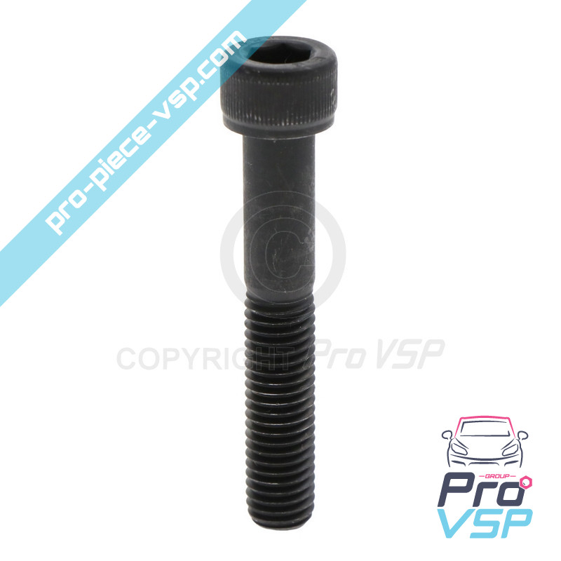 Front brake caliper screw