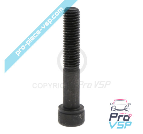Front brake caliper screw