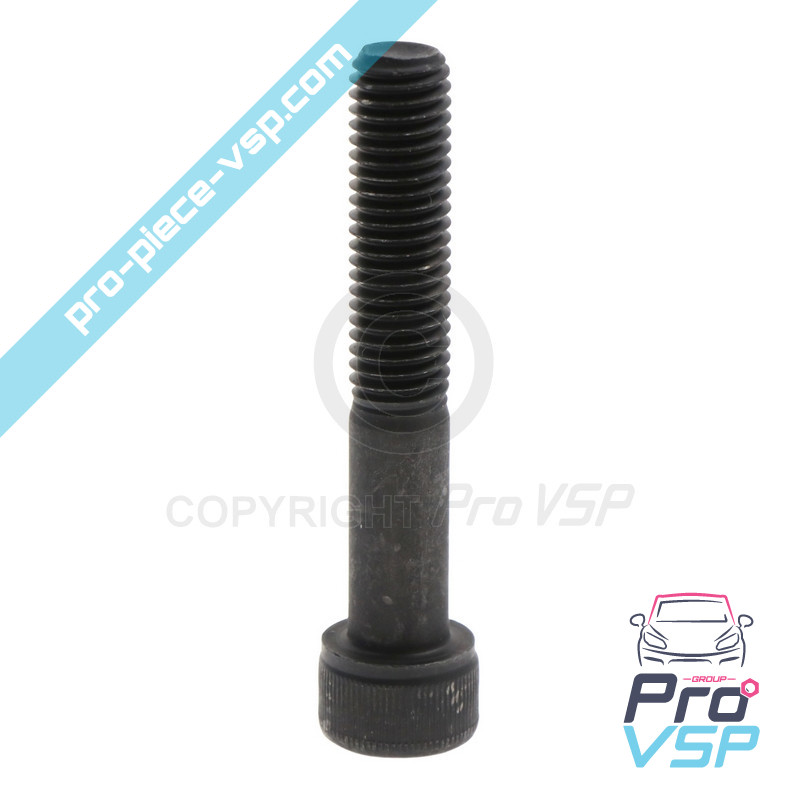 Front brake caliper screw