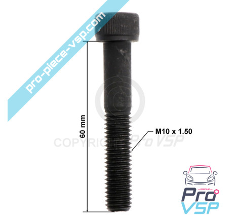 Front brake caliper screw