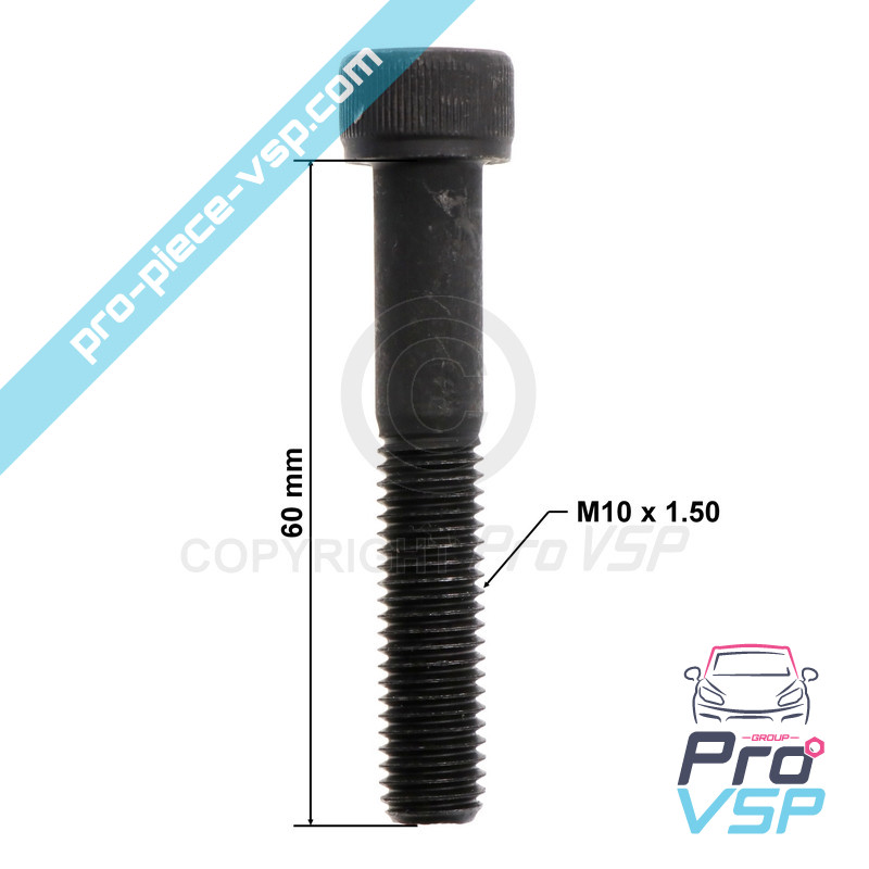 Front brake caliper screw